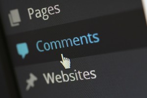 Clearing WordPress Comments